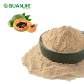 Dondurularak Kurutulmuş Papaya Tozu