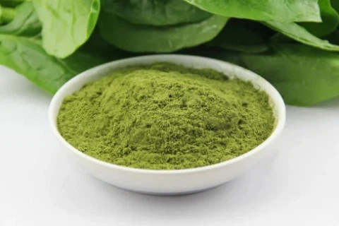 Bulk Freeze Dried Spinach Powder Bulk Freeze Dried Spinach Powder